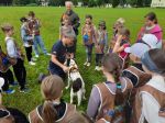 img-20240604-wa0015