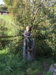 img_4246