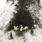 img-20181220-wa0012